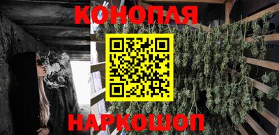ПСИЛОЦИБИНОВЫЕ ГРИБЫ Можга